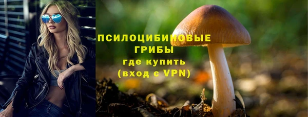 сатива Алзамай