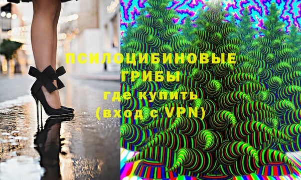 ешки Абаза