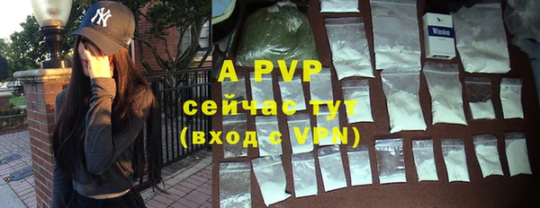 ешки Абаза