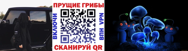 Псилоцибиновые грибы Cubensis  кракен зеркало  Мантурово 